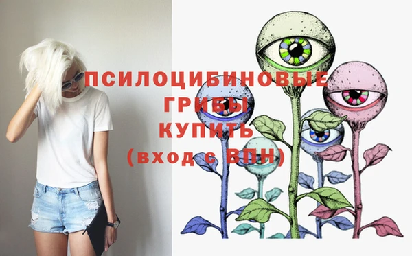 дурь Алзамай