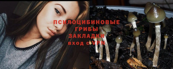 дурь Алзамай