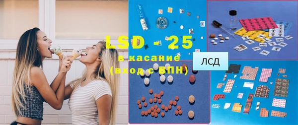 стаф Алексин