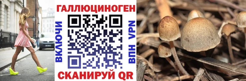 Псилоцибиновые грибы прущие грибы цены Астрахань